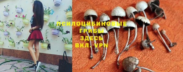кристаллы Покровск