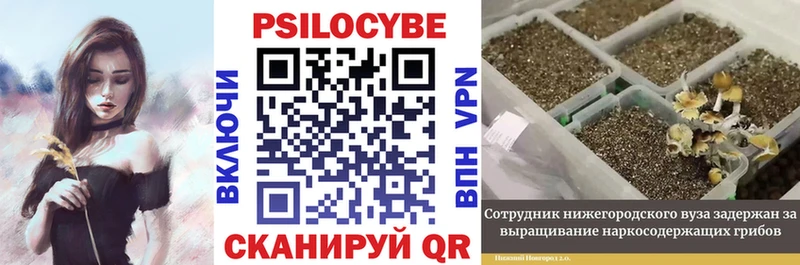 Галлюциногенные грибы Psilocybe  гидра ТОР  Карасук  купить закладку 